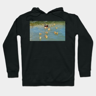 Canada Goose and Its Goslings Swimming Hoodie